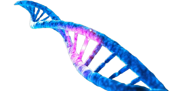 DNA