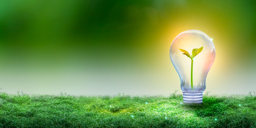 Energy Efficiency