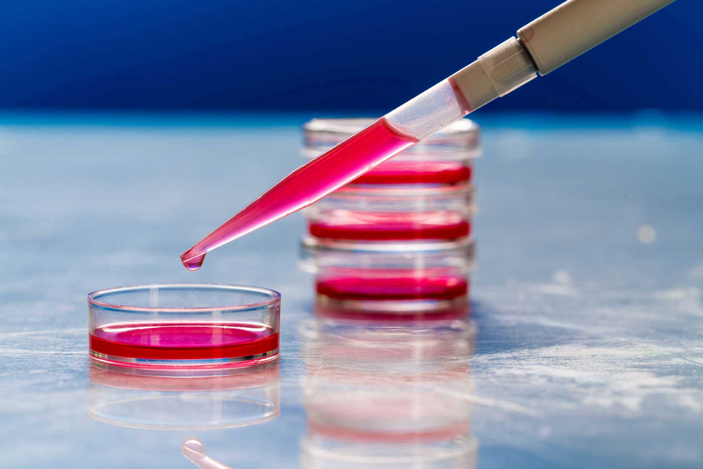 Cell Culture & Cell Culture Media Analysis SHIMADZU EUROPA