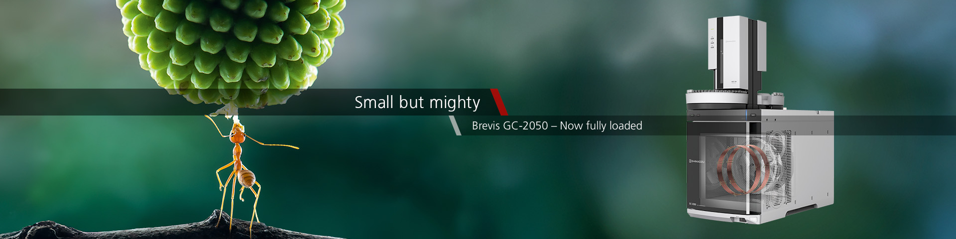 Brevis GC-2050 Fully Loaded