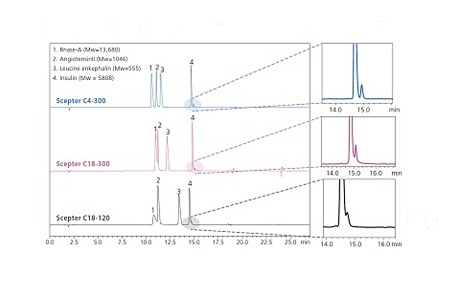 Wide-pore reversed-phase column optimized for analysis of middle-molecular-weight compounds and proteins